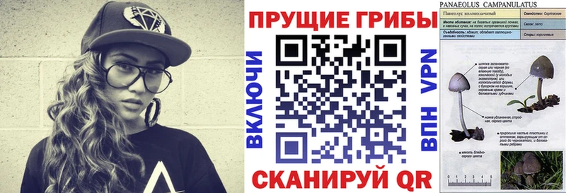 Галлюциногенные грибы GOLDEN TEACHER  Данков 